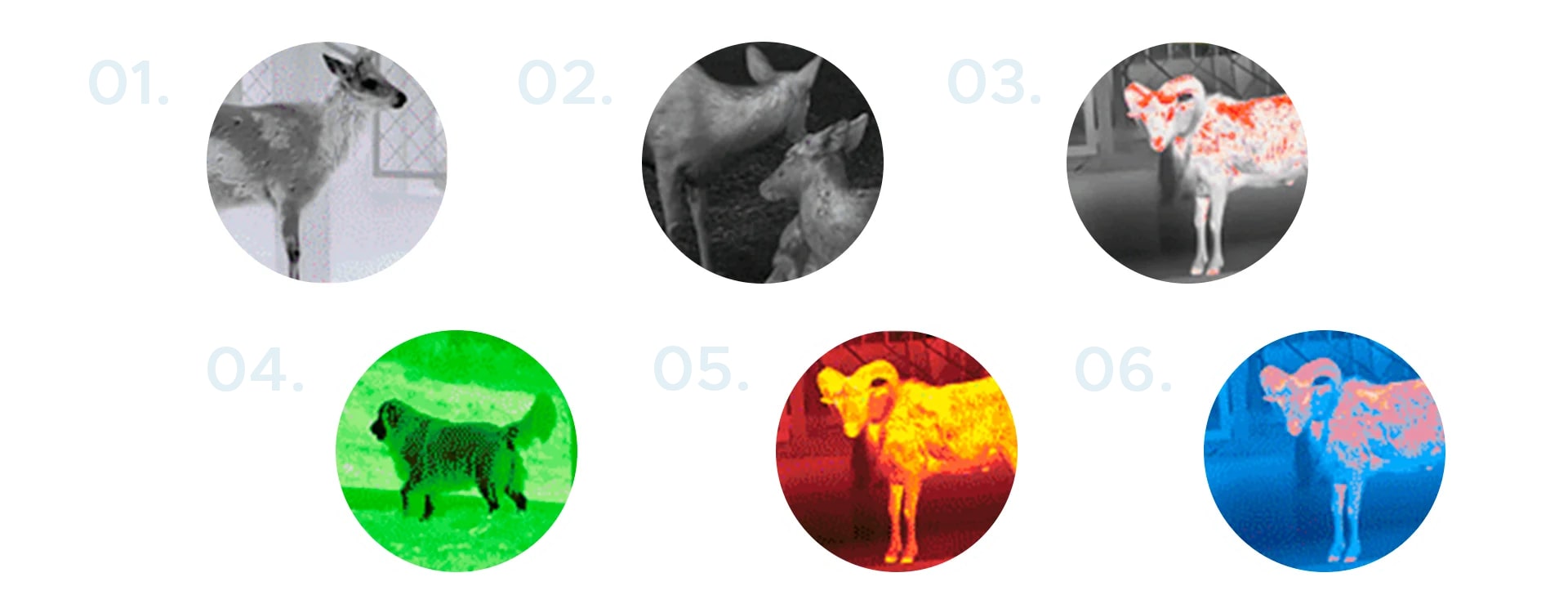 6 цветовых палитр Conotech Tracer 35 LRF Pro