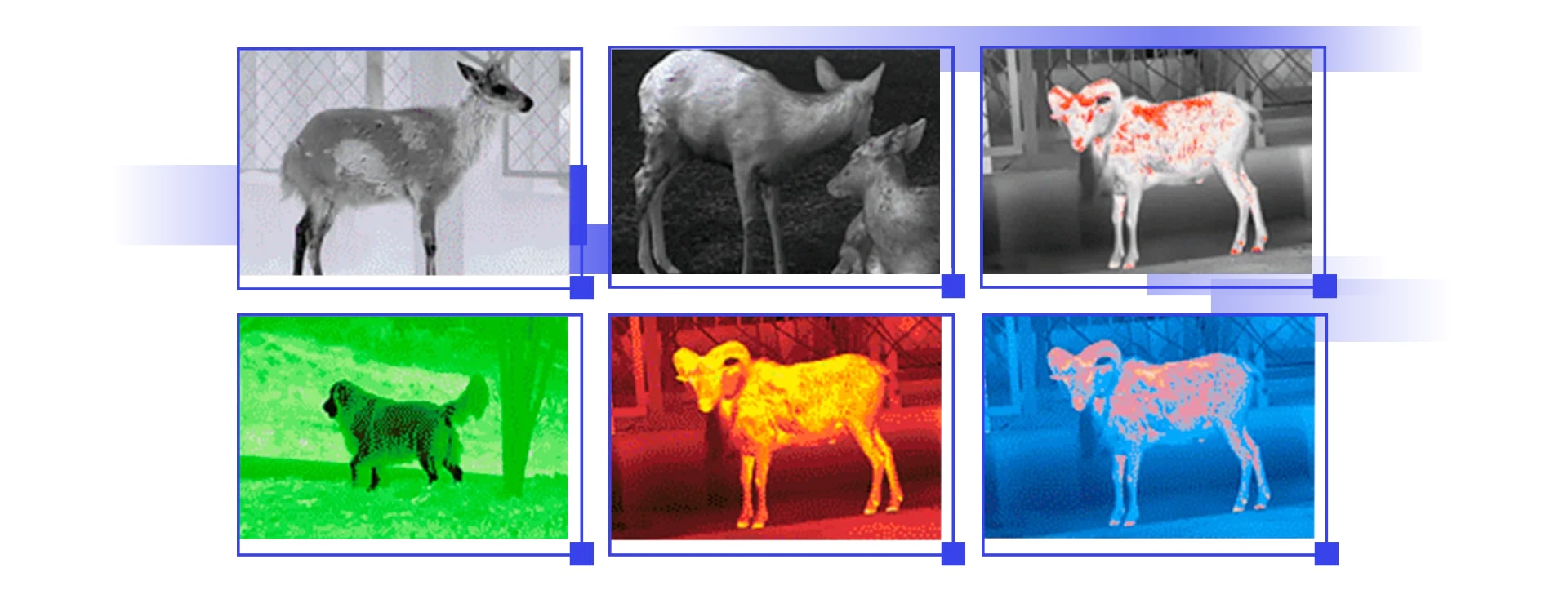 6 цветовых палитр Lzirtek Hors 350L