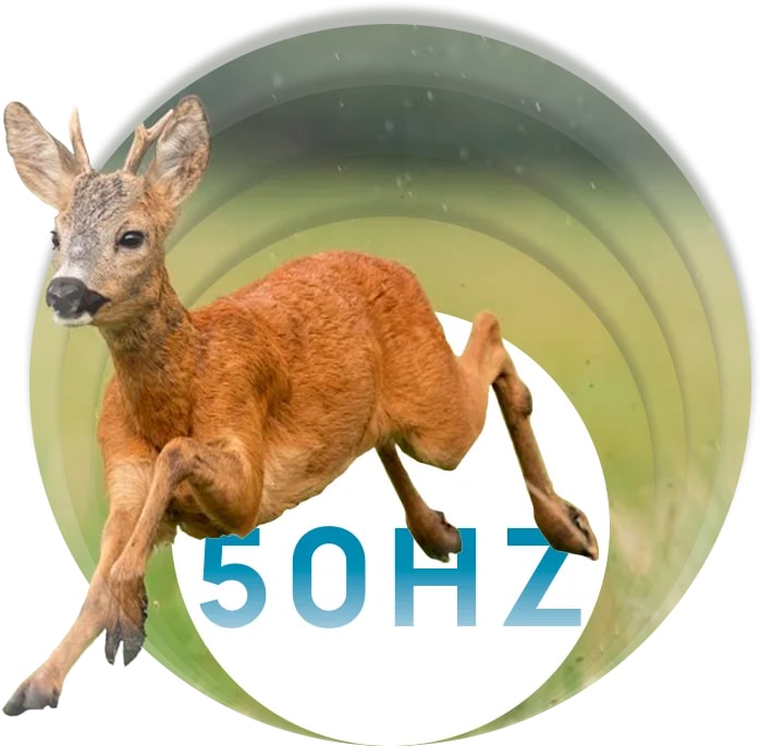 Частота кадров Lzirtek Hors