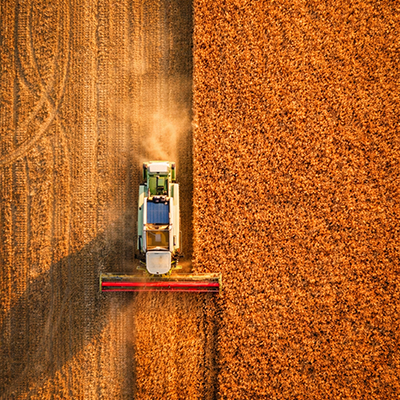 8 8