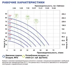 Мембранный насос FLUIMAC Phoenix P60 P-MTTPT1-AB - 2